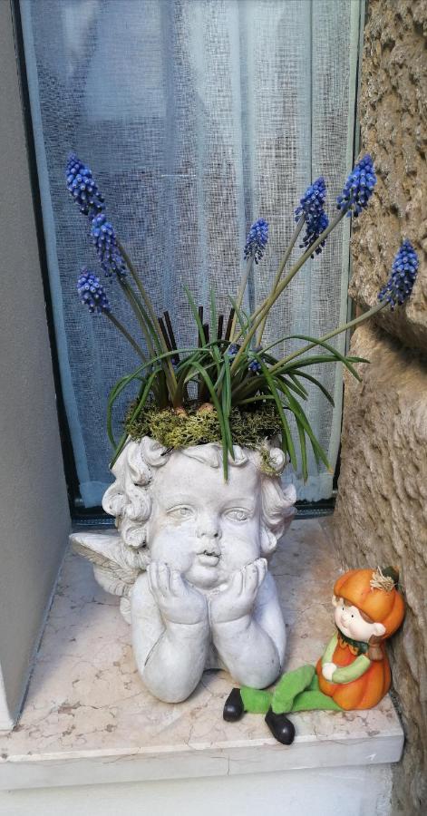 Verona Goddess House Kültér fotó